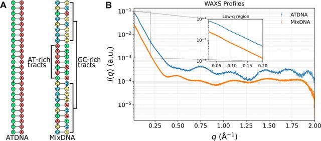 [Figure 1]