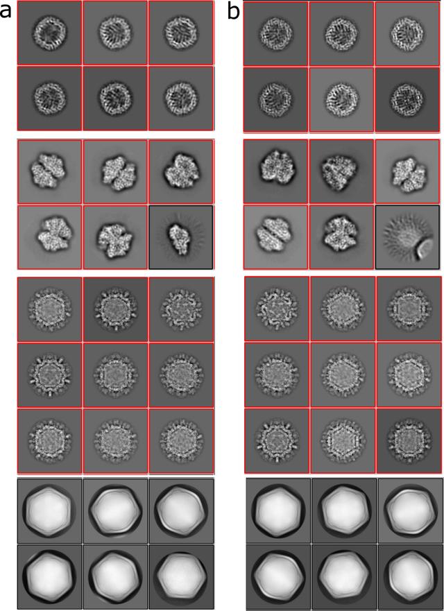 [Figure 4]