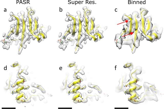 [Figure 6]