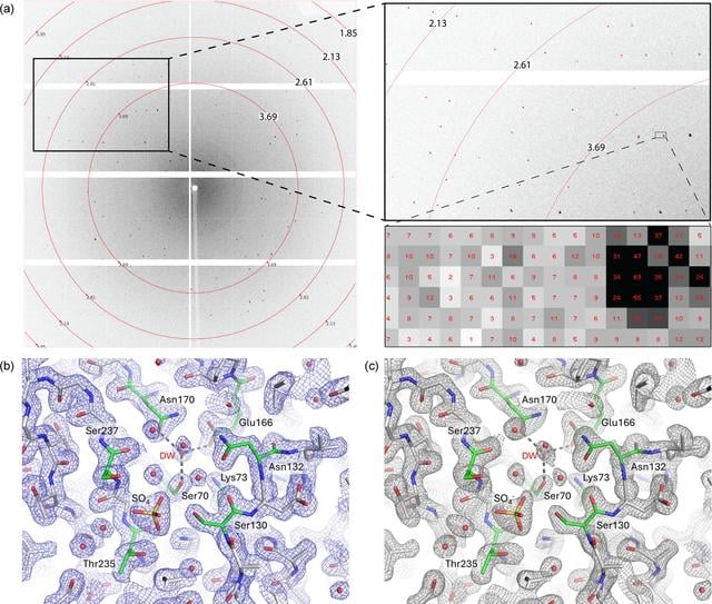 [Figure 4]