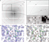 [Figure 4]