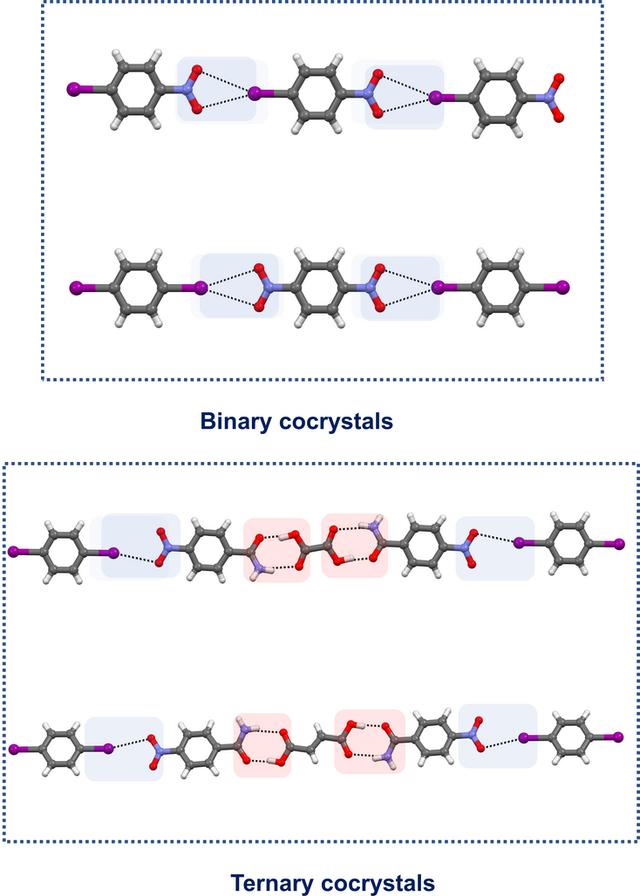 [Figure 7]