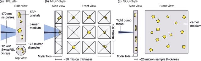 [Figure 1]