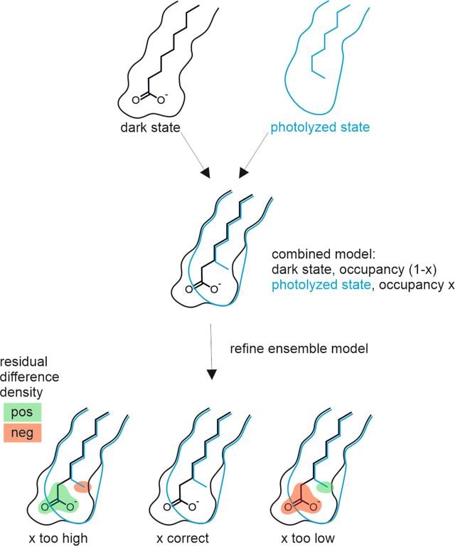 [Figure 2]
