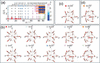 [Figure 21]