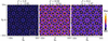 [Figure 25]