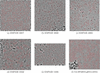 [Figure 10]