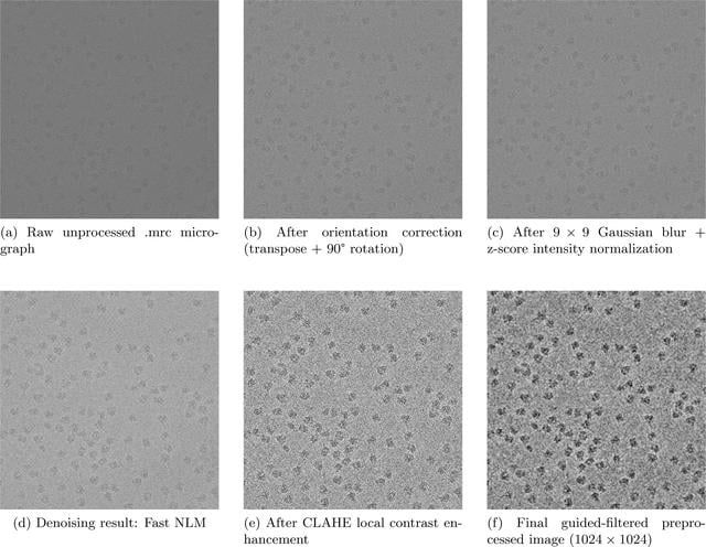 [Figure 2]