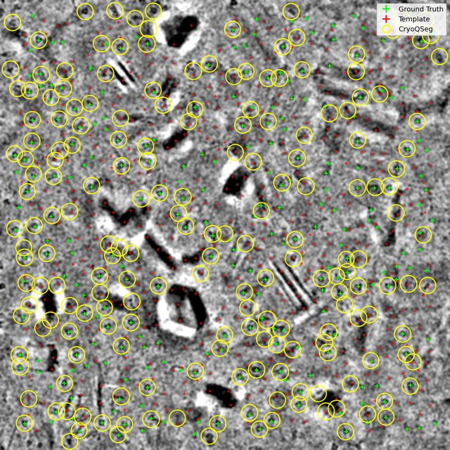 [Figure 6]