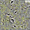 [Figure 6]