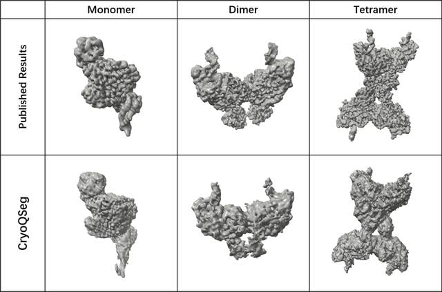 [Figure 7]