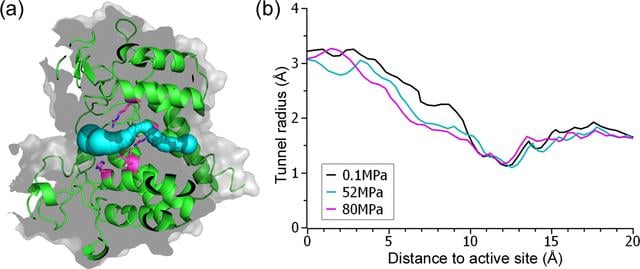 [Figure 3]