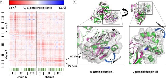 [Figure 6]