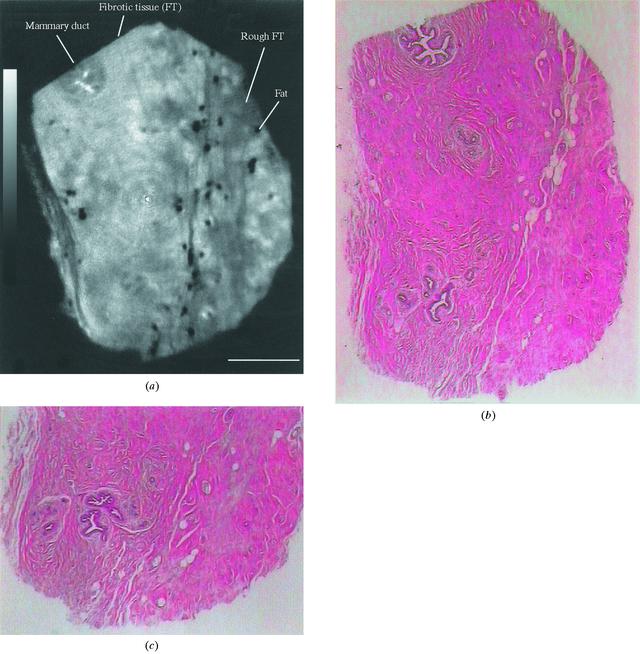 [Figure 3]