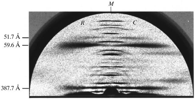 [Figure 8]