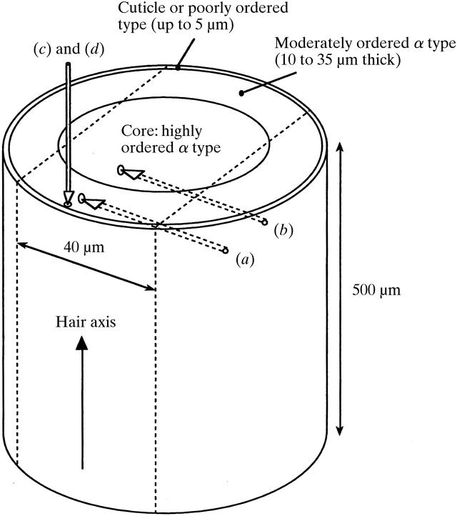 [Figure 4]