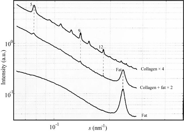 [Figure 1]