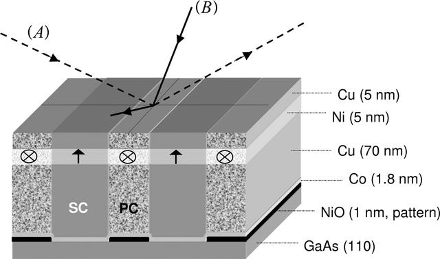 [Figure 1]