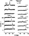 [Figure 4]