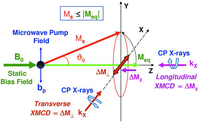 [Figure 1]