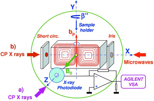 [Figure 4]