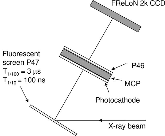 [Figure 5]