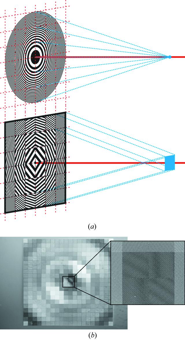 [Figure 1]