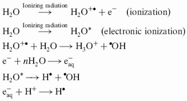 [Figure 1]