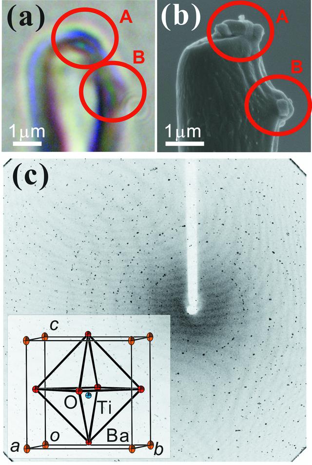 [Figure 4]