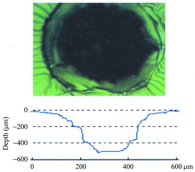 [Figure 4]