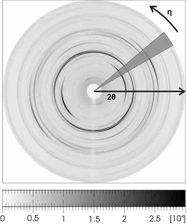 [Figure 4]