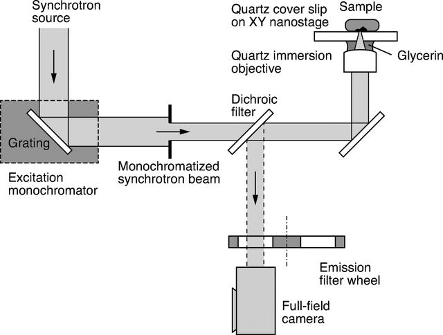 [Figure 3]