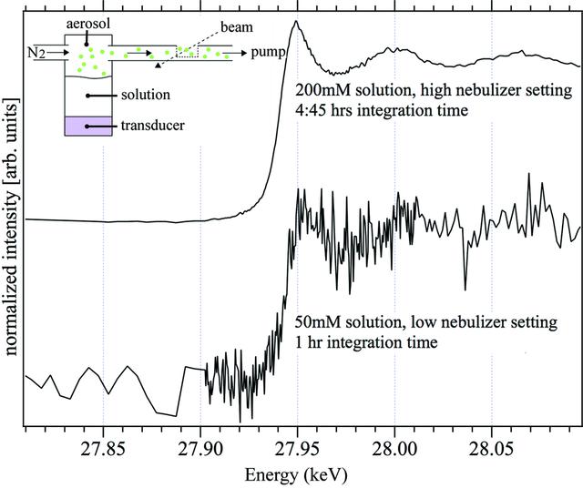 [Figure 1]