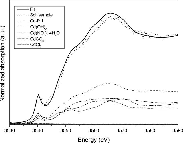 [Figure 4]