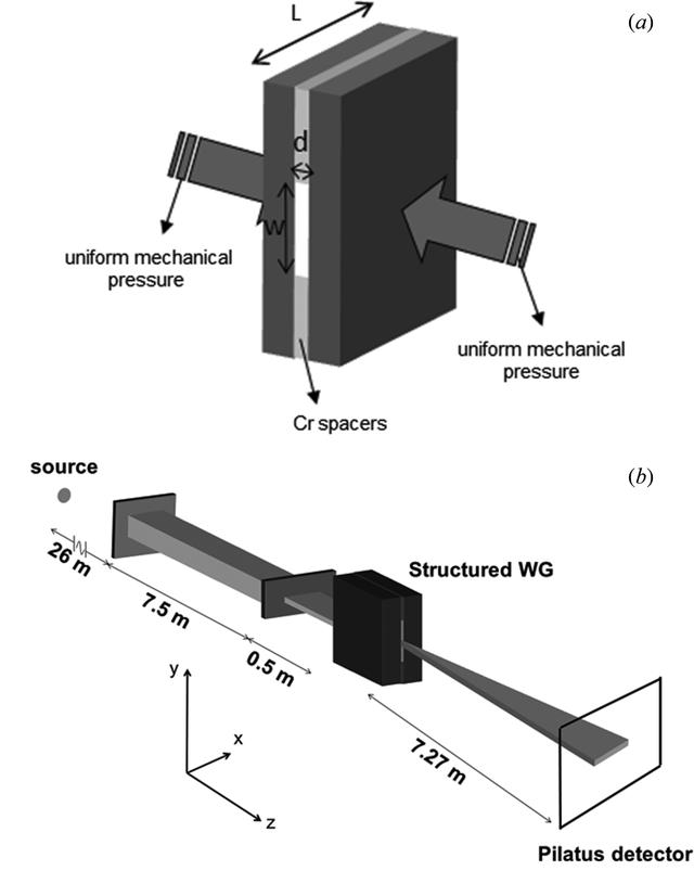 [Figure 5]