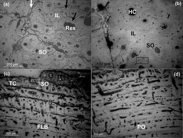 [Figure 1]