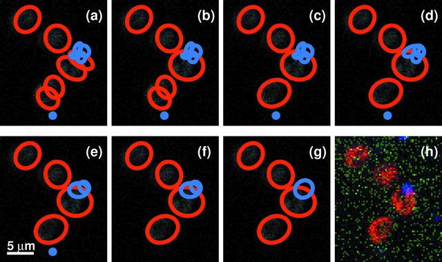 [Figure 4]