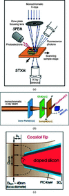 [Figure 2]