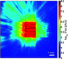 [Figure 1]