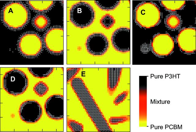 [Figure 1]