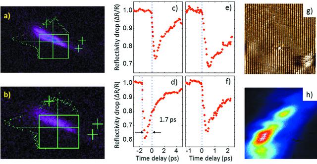 [Figure 4]