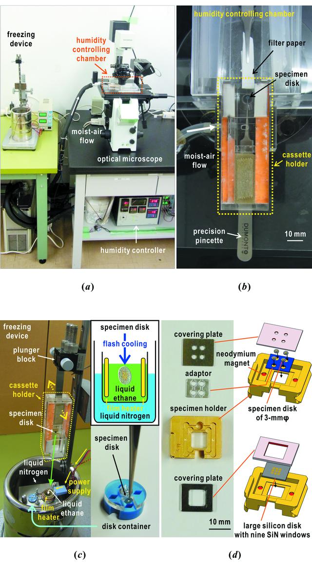 [Figure 5]