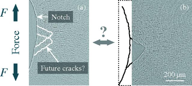 [Figure 4]