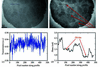 [Figure 2]