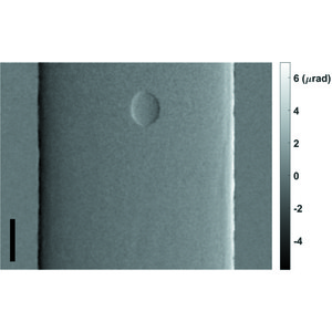 (IUCr) Single-image phase retrieval for hard X-ray grating interferometry