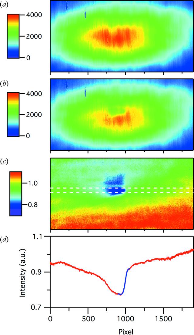 [Figure 4]