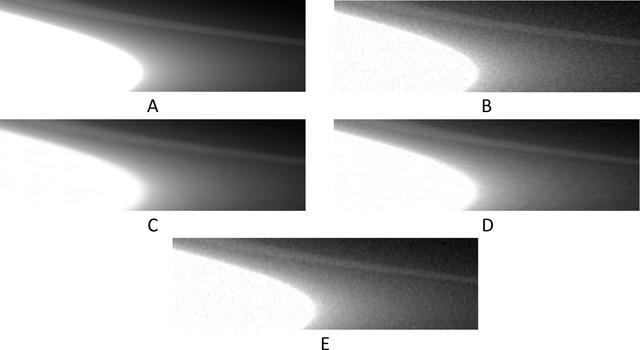 [Figure 10]