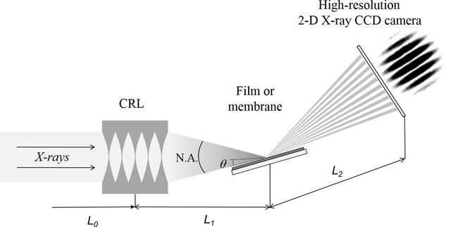 [Figure 1]