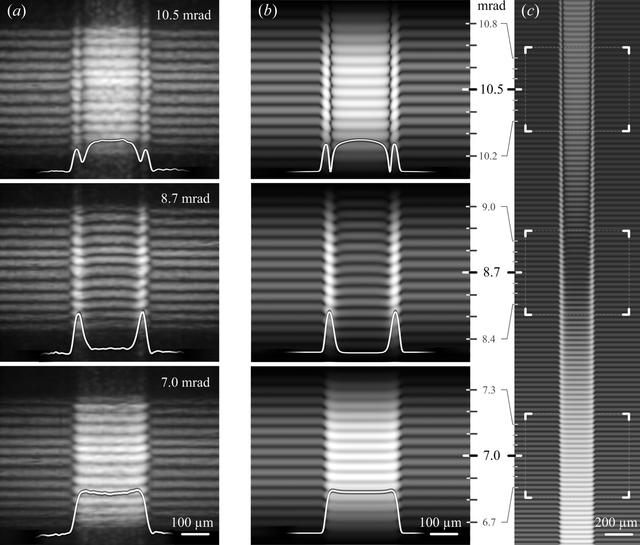 [Figure 5]