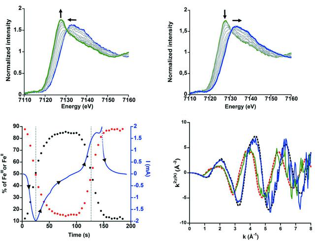 [Figure 4]